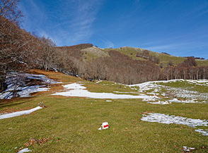 In un susseguirsi di suggestive radure ci avviciniamo alla cima di Colle la Tavola (sullo sfondo).