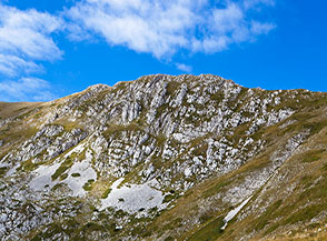 Cima di Vall&rsquo;Organo versante orientale.