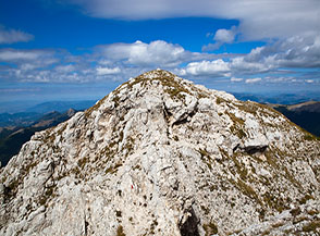 Vetta Sassetelli.