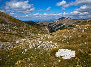Sui prati della conca alpina alla testata della Valle del Picco.