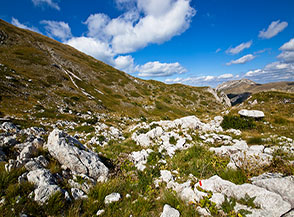Calando nella Valle del Picco sotto Cima di Vall&rsquo;Organo.