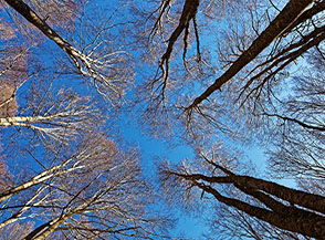 Cielo turchese sopra Valle Bona.