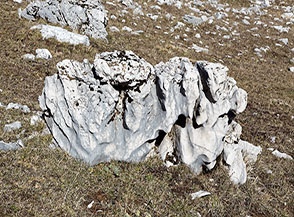 Un masso di calcare lavorato dal carsismo (Vallevona).