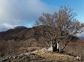 Scorcio lungo la Cresta Sud-Est di Cima di Vallevona.