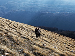 Sui pascoli dorati in prossimit&agrave; della vetta di Cima di Vallevona.