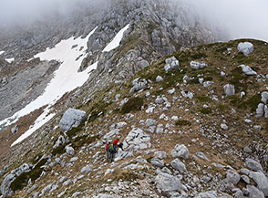 Sulla sella di giunzione fra la creste di Cima a Mare e Monte a Mare.