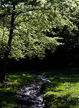 Controluce sul fondovalle poco prima di uscire in Valle Fiorita o Piano le Forme.