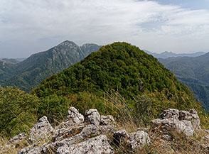 Il cono boscoso di Punta di Tormine (cima altimetrica) ripresa dalla cima topografica.