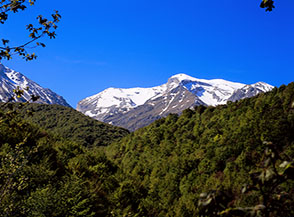 Il massiccio del Corvo emerge dal bosco alla radura di Piana Grande.