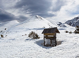 Cima Forcone/Martellese e Monte d'Ugni