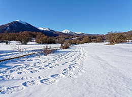Cima Macchia di Rose e il Codone
