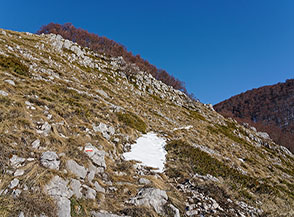 Sul bel traverso che conduce dentro Coppa della Genzana.