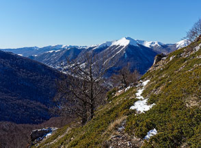 Vista dal traverso sul fianco vallivo di Coppa della Genzana.