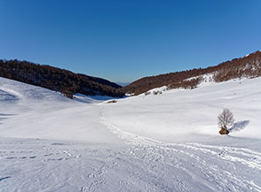 Da Pietra del Principe vista sull&rsquo;ampia radura dove si trova il Rifugio di Terraegna.