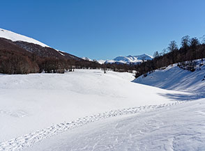 Una delle numerose radure che s&rsquo;incontrano lungo la Valle di Terraegna.
