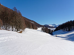 Ai margini del Piano di Terraegna.