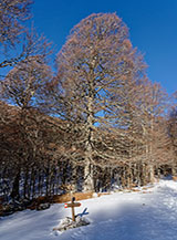 Bivio del sentiero per il Vallone Filarello.