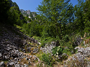 Sul fondo del selvaggio Fosso la Valle anche chiamato Vallone di Palombaro.