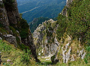 Affaccio su uno dei ripidi canalini, chiamati vaj, che solcano il tormentato Versante Sud del Monte Forni Alto.