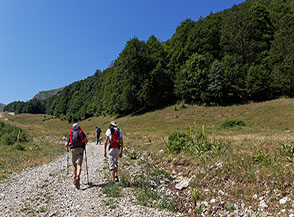 Sulla sterrata della Vall&rsquo;Organo.