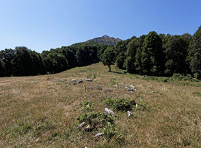 Sui prati sopra Colle Camporga con Cima di Vall&rsquo;Organo che emerge sullo sfondo.