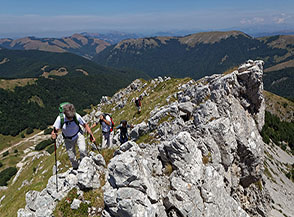 Un tratto della bellissima cresta semirocciosa che conduce su Cima Prato dei Sassi da nord.