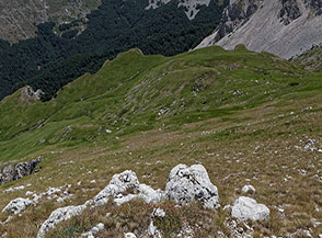 I prati verdissimi che si adagiano sotto Cima Prato dei Sassi sul versante della Vallonina.