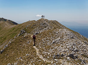 Cima di Vall&rsquo;Organo.