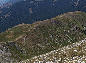 Sulla via di discesa verso il crestone prativo dell&rsquo;Acquasanta.