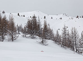 &ldquo;Marathon&ldquo; (sui pendii innevati di Costa Via Vecchia).