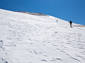 Verso la cima della Serra dei Curti.