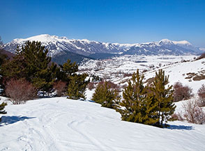 Lungo la piacevole discesa fra la rada macchia del Vallone Pietroso.