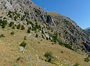 Sui prati dove inizia la Via dei Passetti.