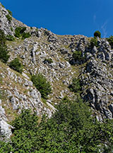 Il canalino che si andr&agrave; a risalire per entrare nella Valle Maiuri.