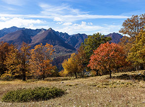 Scorcio autunnale lungo il sentiero per lo Stazzo Affogata.