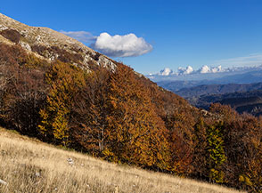 Bosco autunnale lungo il sentiero che dallo Stazzo Affogata scende a Colle Sant&rsquo;Angelo.