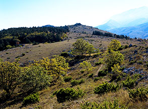 Inizio dell&rsquo;ampia Cresta Nord-Ovest della Solagna di Bagno.