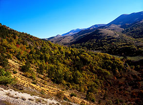 Scorcio sui fianchi della grande Canetra da Piedi.