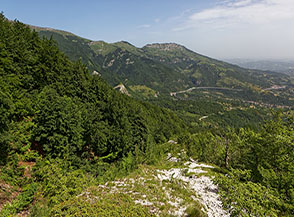 Lungo il sentiero che sale da Fonte Nera con vista verso Cima Alta.