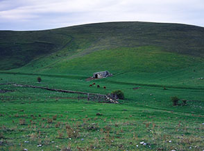 &ldquo;Il nostro far west&rdquo; (lungo la strada sotto le pendici di Monte San Franco).