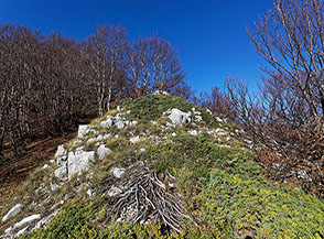 Scorcio lungo la Cresta Est del Monte Arso.
