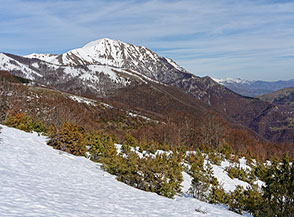 Dal versante orientale di Cimata di Castello vista verso il Monte Valloni.