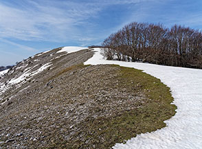 Il dolce tratto sommitale della Cresta Est di Cimata di Castello.