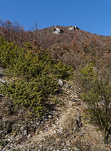 Scorcio lungo il Tracciolino Alpini sotto Vena Rocca.