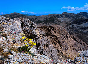 Scorcio sul fianco orientale di Cimata di Rava Palazzo dalla cima delle Tre Sorelle.