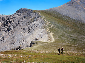 Il marcato sentiero che segue la Cresta Nord-Ovest del Velino (ripreso dal Costognillo)