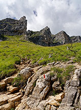 &ldquo;Amico bollo&ldquo; (Val Rossa).