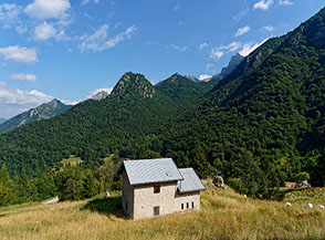 Malga Morbi alla partenza del sentiero presso Pian delle Fugazze.