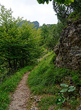 Il sentiero per Monte Cornetto alla partenza dalla Selletta Nord-Ovest.