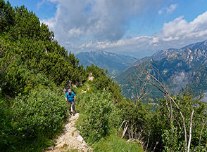 Tra mughi e salici verso la cima del Cornetto.